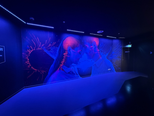 Paradox Museum Hamburg