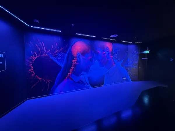 Paradox Museum Hamburg