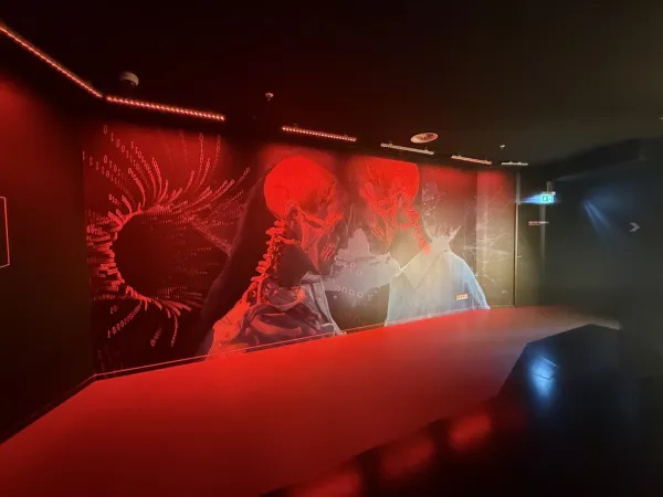 Paradox Museum Hamburg